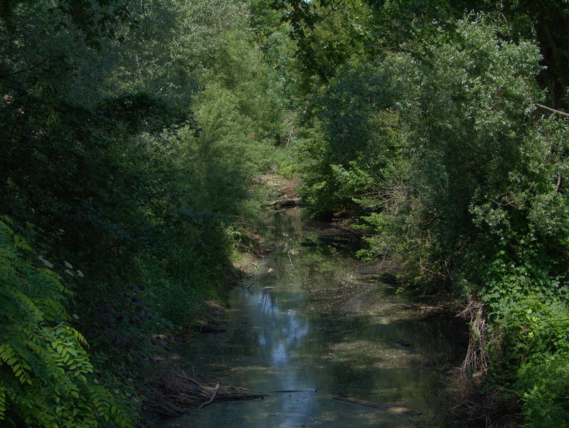 Orth